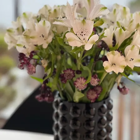 Med 5 Soverom, 4 Bad Og 3 Kjokken, 400 M Fra Lokal Badestrand Willa Bergen