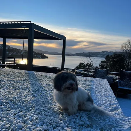 Willa Med 5 Soverom, 4 Bad Og 3 Kjokken, 400 M Fra Lokal Badestrand Bergen