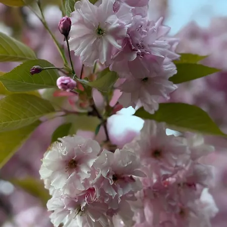 Villa Med 5 Soverom, 4 Bad Og 3 Kjokken, 400 M Fra Lokal Badestrand Bergen