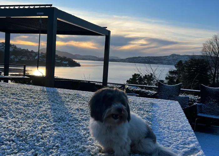 Villa Med 5 Soverom, 4 Bad Og 3 Kjokken, 400 M Fra Lokal Badestrand Bergen