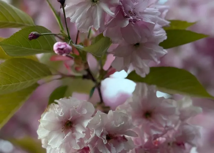 Вилла Med 5 Soverom, 4 Bad Og 3 Kjokken, 400 M Fra Lokal Badestrand Берген